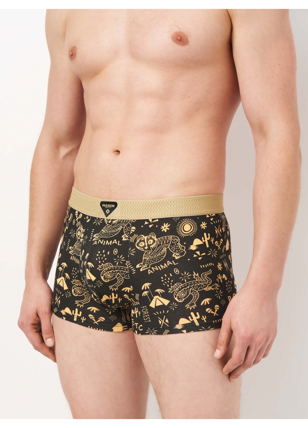 Набір чоловічих трусів боксерів - Серія Майя 4 (4 кольори)