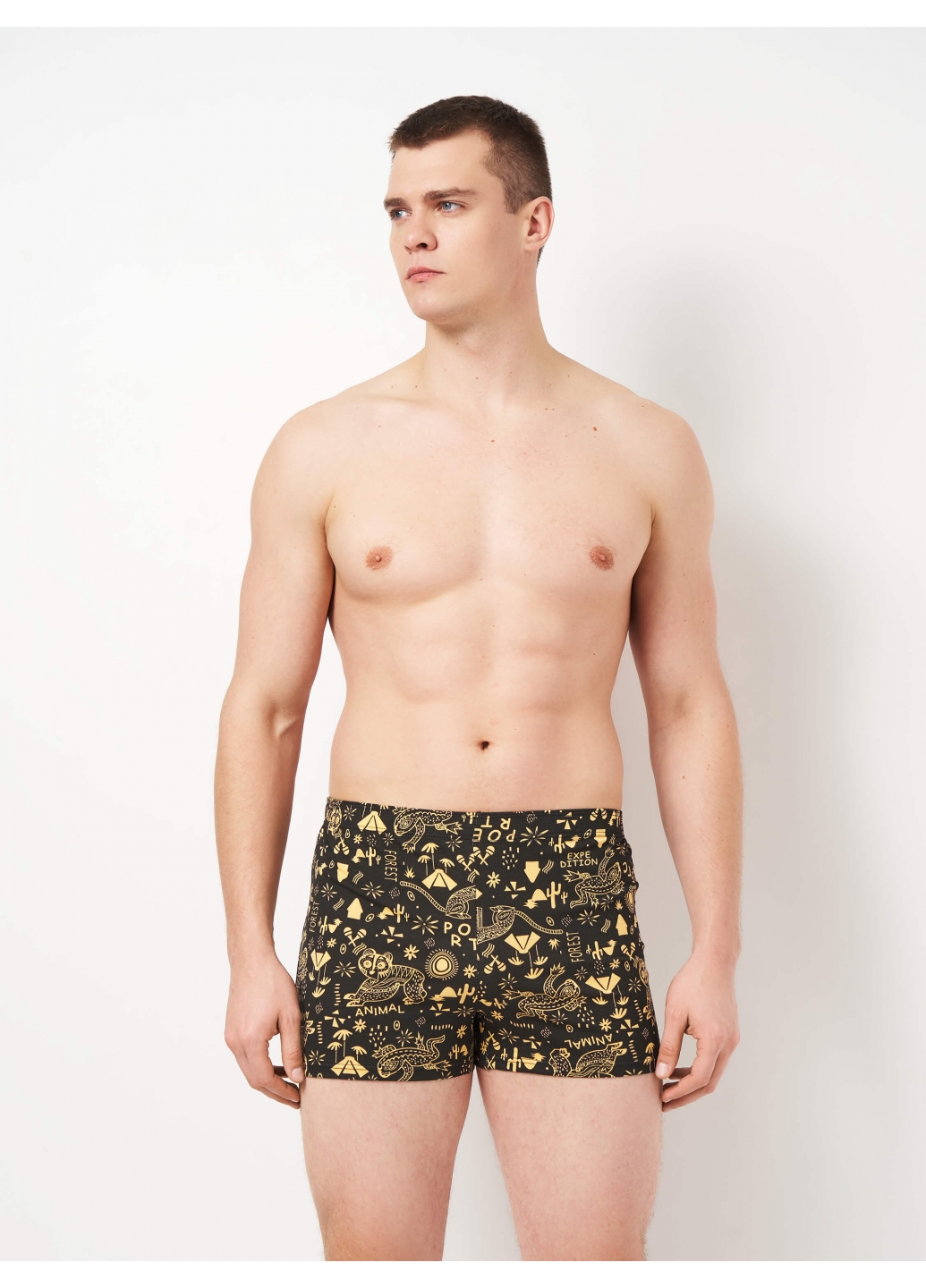 Набор мужских семейных трусов — Форест 3 (3 цвета)