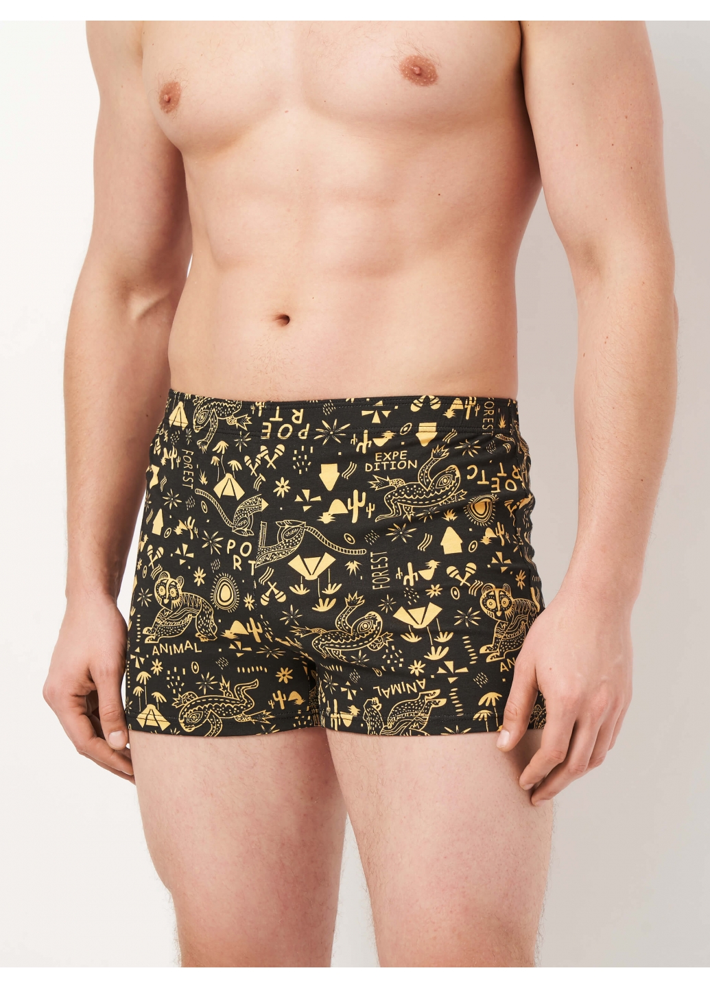 Набор мужских семейных трусов — Форест 3 (3 цвета)