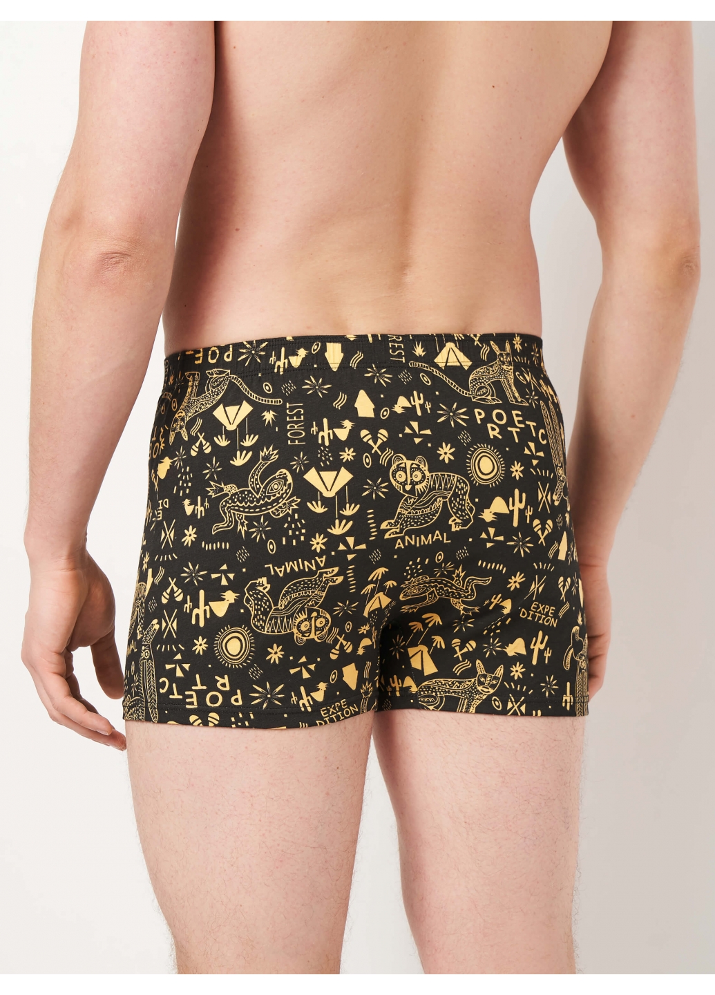 Набор мужских семейных трусов — Форест 3 (3 цвета)