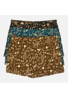 Набор мужских семейных трусов Форест 3 (бирюзовые, коричневые, чёрные)