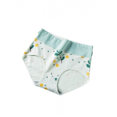 Женские хлопковые трусики с принтом Большой лимон