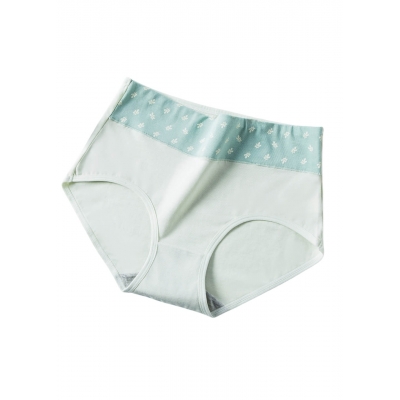 Жіночі бавовняні трусики з принтом – Листя