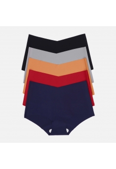 Набір жіночих безшовних трусиків Ice Silk (5 шт.) Класична палітра